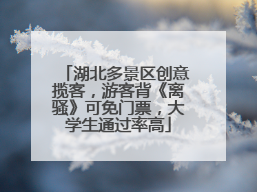 湖北多景区创意揽客，游客背《离骚》可免门票，大学生通过率高
