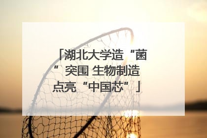 湖北大学造“菌”突围 生物制造点亮“中国芯”
