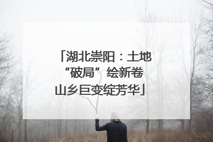 湖北崇阳：土地“破局”绘新卷 山乡巨变绽芳华