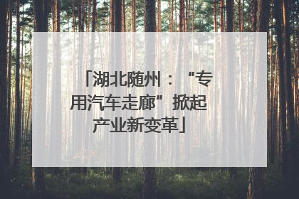 湖北随州：“专用汽车走廊”掀起产业新变革