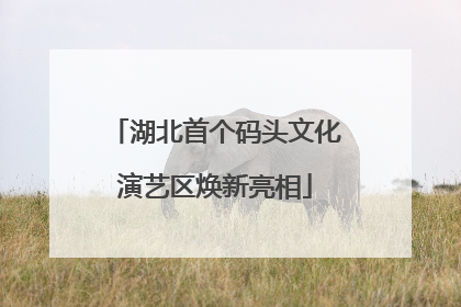 湖北首个码头文化演艺区焕新亮相
