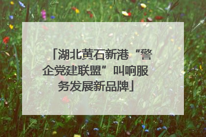 湖北黄石新港“警企党建联盟”叫响服务发展新品牌