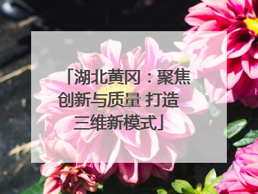 湖北黄冈：聚焦创新与质量 打造三维新模式
