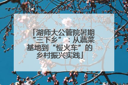 湖师大公管院暑期“三下乡”：从蔬菜基地到“慢火车”的乡村振兴实践