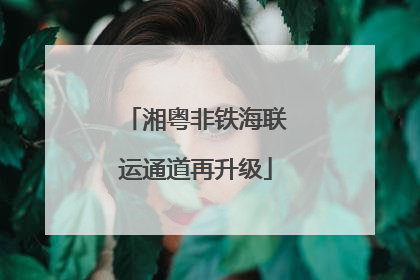 湘粤非铁海联运通道再升级