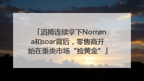 滔搏连续拿下Norrøna和soar背后，零售商开始在垂类市场“捡黄金”