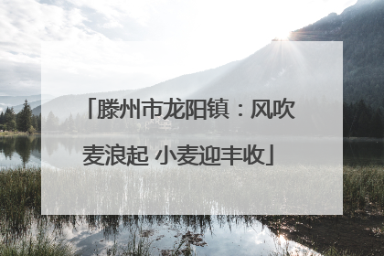 滕州市龙阳镇：风吹麦浪起 小麦迎丰收