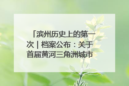 滨州历史上的第一次｜档案公布：关于首届黄河三角洲城市经济博览会暨发展论坛情况的总结报告