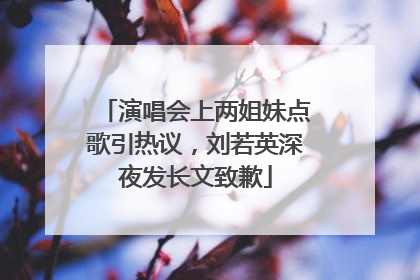 演唱会上两姐妹点歌引热议，刘若英深夜发长文致歉