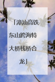 漳汕高铁东山跨海特大桥栈桥合龙