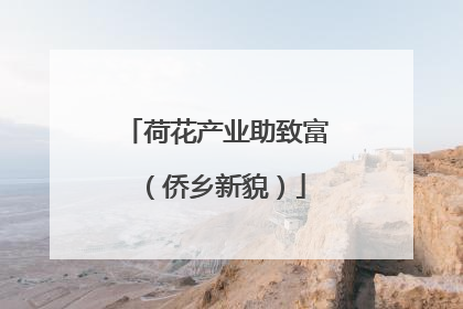 荷花产业助致富（侨乡新貌）