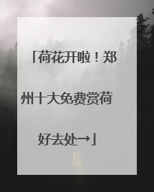 荷花开啦！郑州十大免费赏荷好去处→
