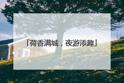 荷香满城，夜游添趣