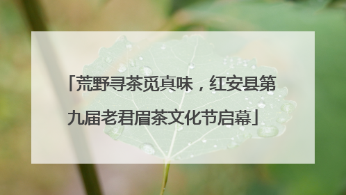 荒野寻茶觅真味，红安县第九届老君眉茶文化节启幕