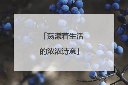 荡漾着生活的浓浓诗意