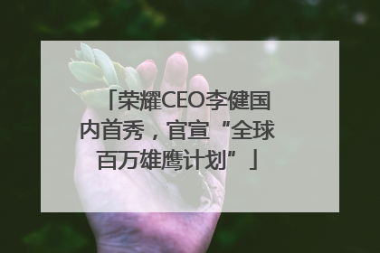 荣耀CEO李健国内首秀，官宣“全球百万雄鹰计划”