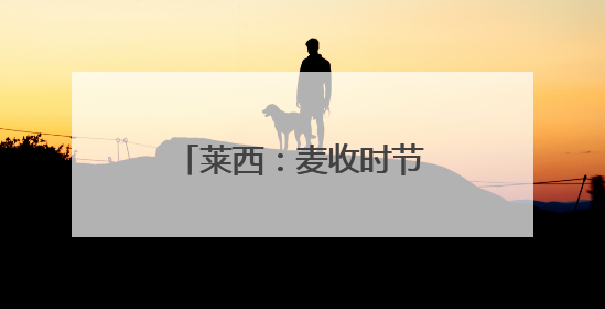 莱西：麦收时节“警”相随，田间地头护“农”忙