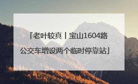 老叶较真丨宝山1604路公交车增设两个临时停靠站