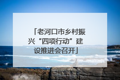 老河口市乡村振兴“四项行动”建设推进会召开