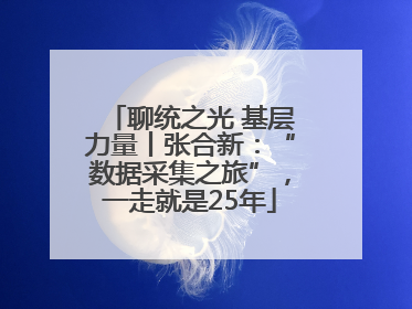 聊统之光 基层力量丨张合新：“数据采集之旅”，一走就是25年