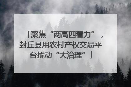 聚焦“两高四着力”，封丘县用农村产权交易平台撬动“大治理”