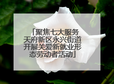 聚焦七大服务 天府新区永兴街道开展关爱新就业形态劳动者活动