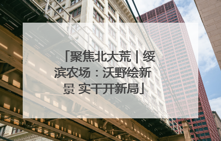 聚焦北大荒｜绥滨农场：沃野绘新景 实干开新局