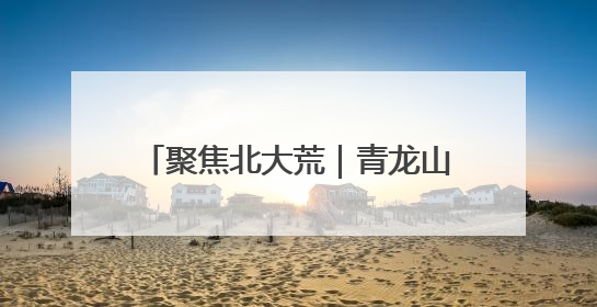 聚焦北大荒｜青龙山农场有限公司开展普法教育主题党日活动