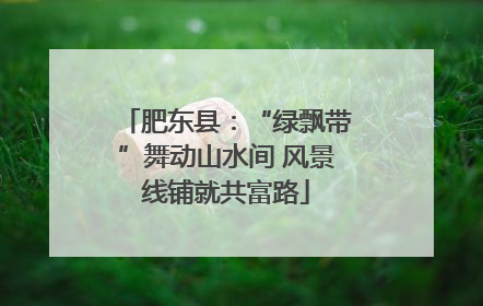 肥东县：“绿飘带”舞动山水间 风景线铺就共富路