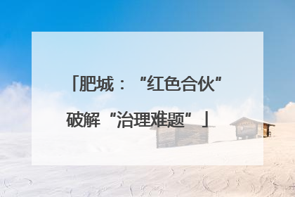 肥城：“红色合伙”破解“治理难题”