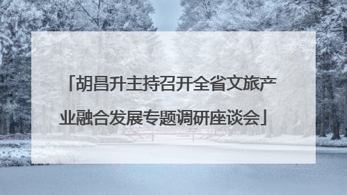 胡昌升主持召开全省文旅产业融合发展专题调研座谈会