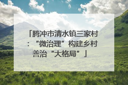 腾冲市清水镇三家村：“微治理”构建乡村善治“大格局”