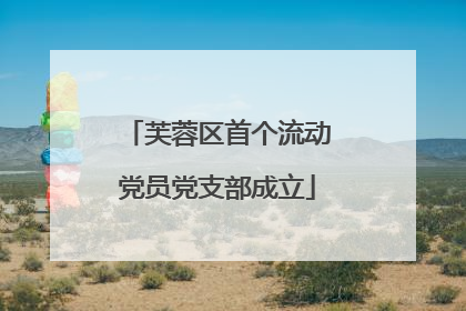 芙蓉区首个流动党员党支部成立