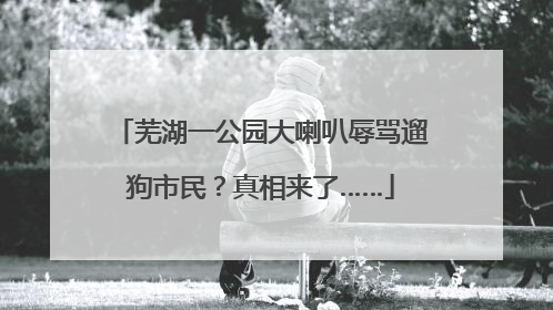 芜湖一公园大喇叭辱骂遛狗市民？真相来了……