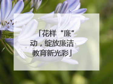 花样“廉”动，绽放廉洁教育新光彩