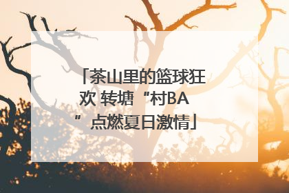 茶山里的篮球狂欢 转塘“村BA”点燃夏日激情