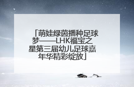 萌娃绿茵播种足球梦——LHK福宝之星第三届幼儿足球嘉年华精彩绽放