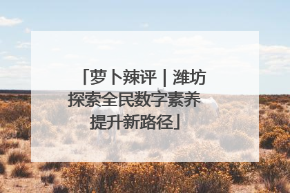 萝卜辣评｜潍坊探索全民数字素养提升新路径