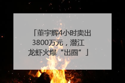 董宇辉4小时卖出3800万元，潜江龙虾火爆“出圈”