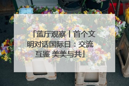 蓝厅观察丨首个文明对话国际日：交流互鉴 美美与共