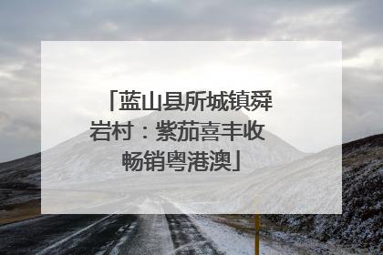 蓝山县所城镇舜岩村：紫茄喜丰收 畅销粤港澳