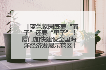 蓝色家园既要“面子”还要“里子”！厦门加快建设全国海洋经济发展示范区