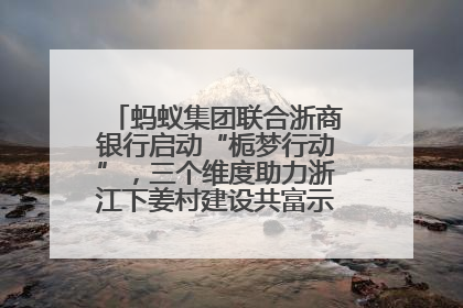 蚂蚁集团联合浙商银行启动“栀梦行动”，三个维度助力浙江下姜村建设共富示范区示范点