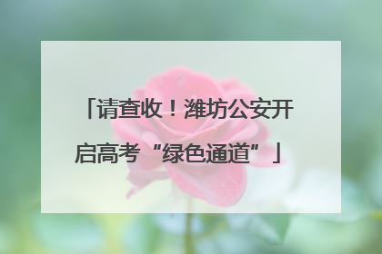 请查收！潍坊公安开启高考“绿色通道”