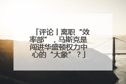 评论丨离职“效率部”，马斯克是闯进华盛顿权力中心的“大象”？