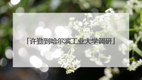 许勤到哈尔滨工业大学调研