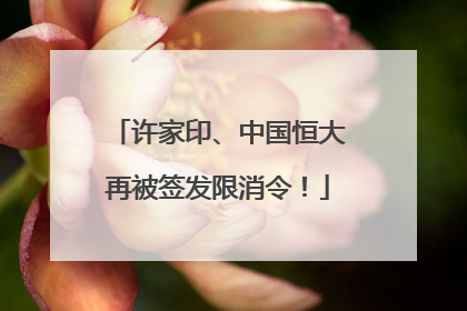 许家印、中国恒大再被签发限消令！