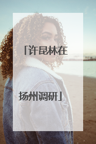 许昆林在扬州调研