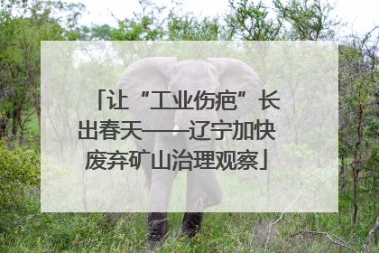 让“工业伤疤”长出春天——辽宁加快废弃矿山治理观察