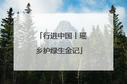 行进中国丨瑶乡护绿生金记